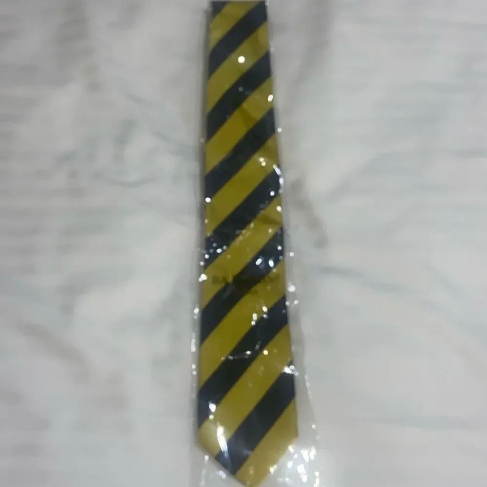Barbereni Roma Silk Tie